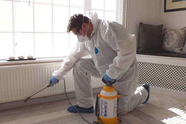 Pest Control near Me - Manage Pests Through Pest Control Services