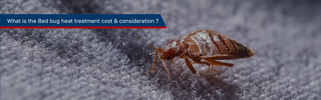 How Much Does a Bed Bug Exterminator Cost? (2026 Pricing)