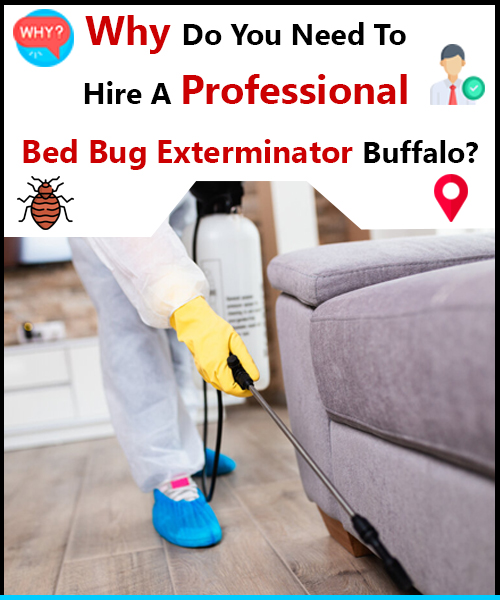 Significance of Hiring Professional Bed Bug Exterminators