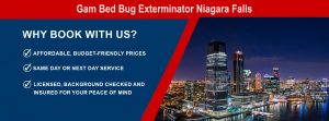 Gam Bed Bug Exterminator Niagara Falls