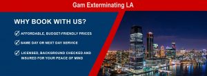 Gam Exterminating LA